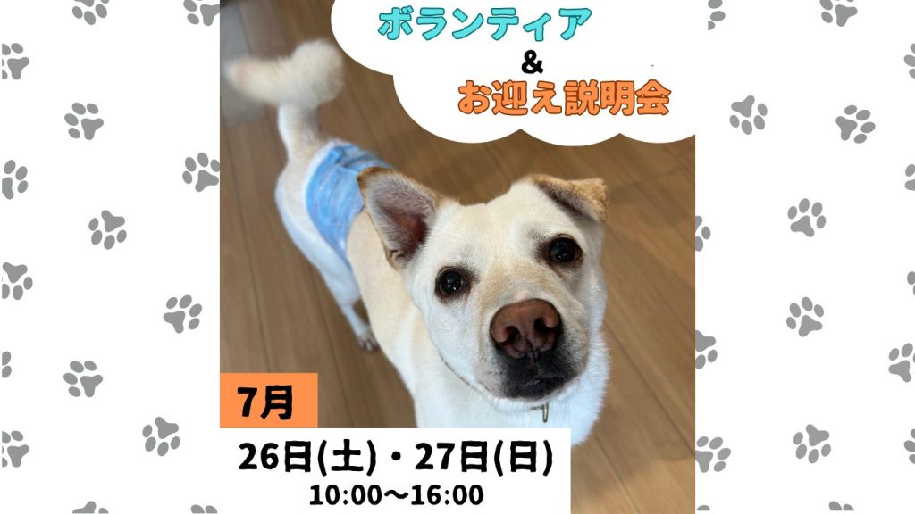 281792ef4c9e84a805f73afe5d205154