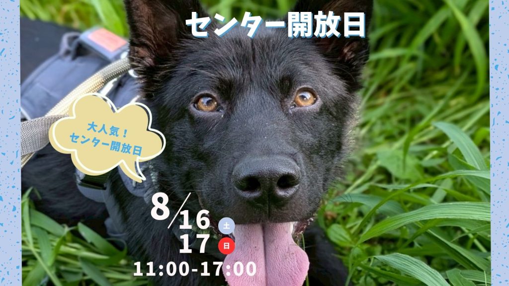 3f96494c949413a45716113afd7a0446