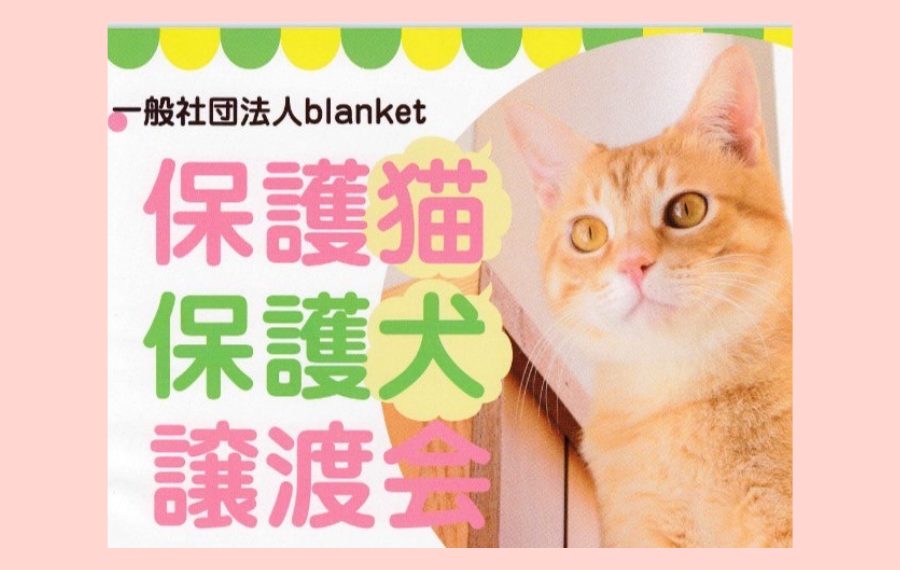 ee4224141a0803d626b5e5a10f9f8430