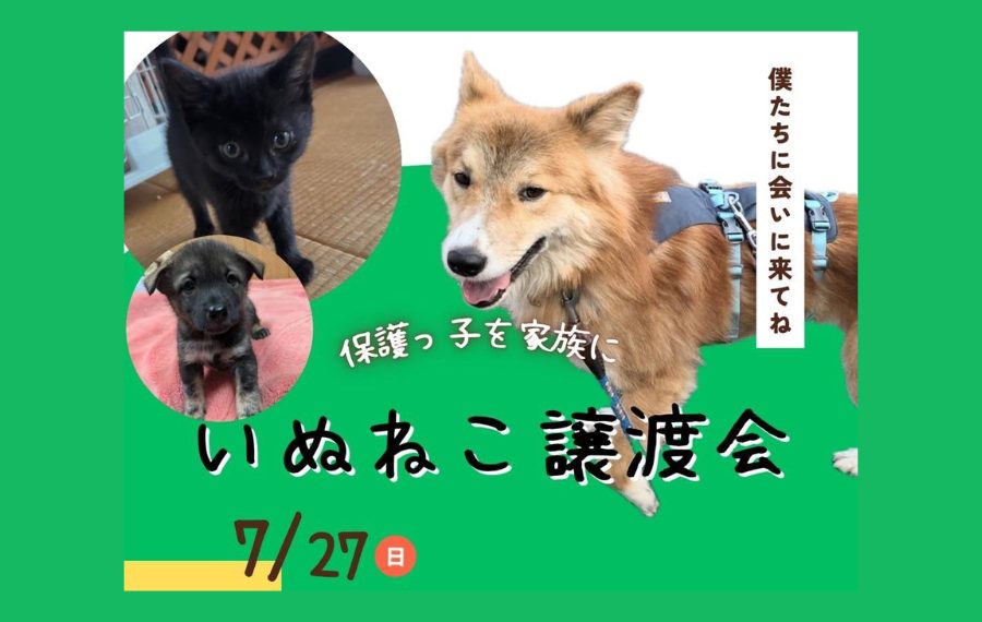 1 2