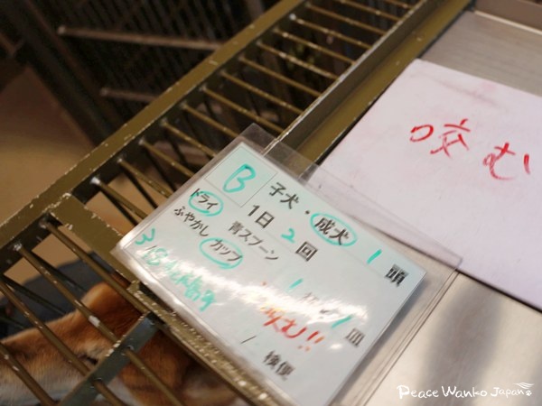 想いは伝わる。命の現場から伝えたいこと 4 20250704 1 3
