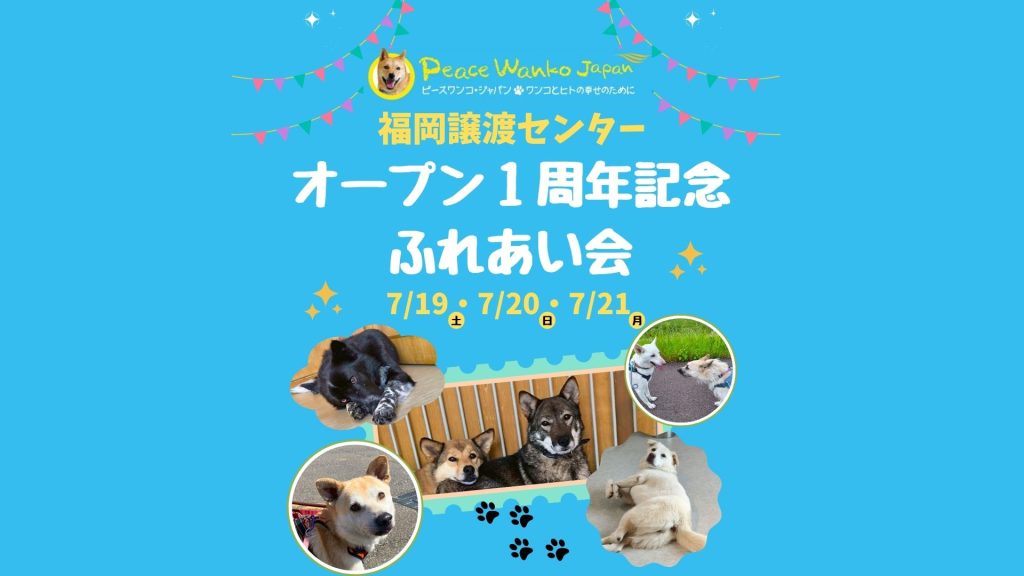 18a63ce8f1ee947a5060b6b121b6f56c