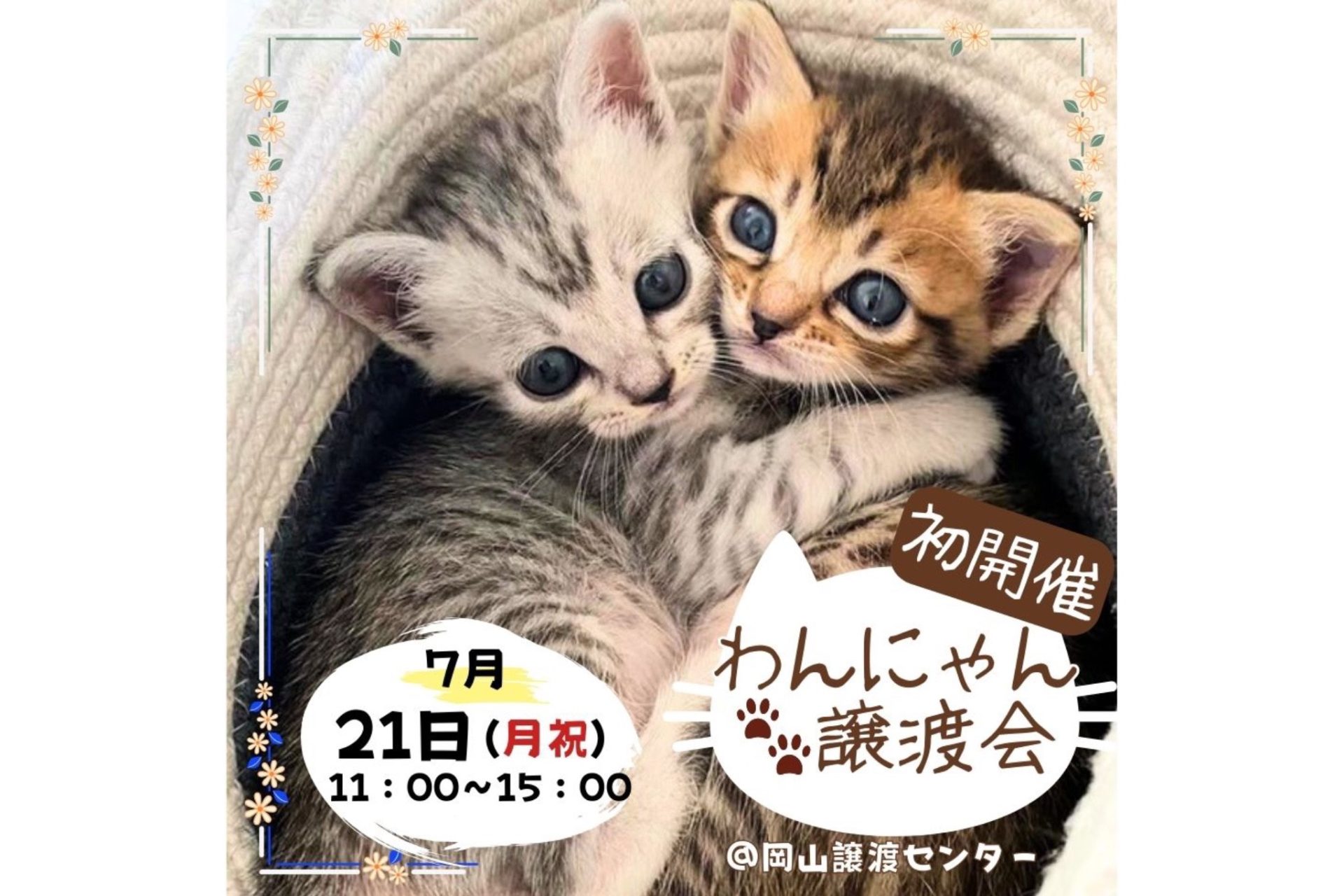 ピースワンコのイベント】7/21(祝月)「わんにゃん譲渡会」を初開催