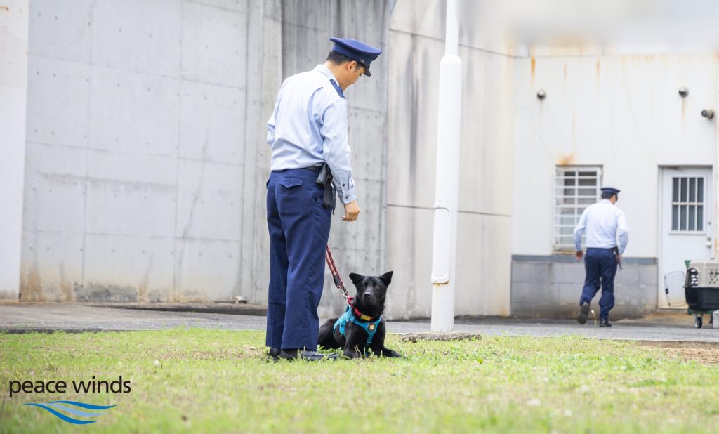 8a8087a3 feaa 4606 ba45 2b5cb21ad51c