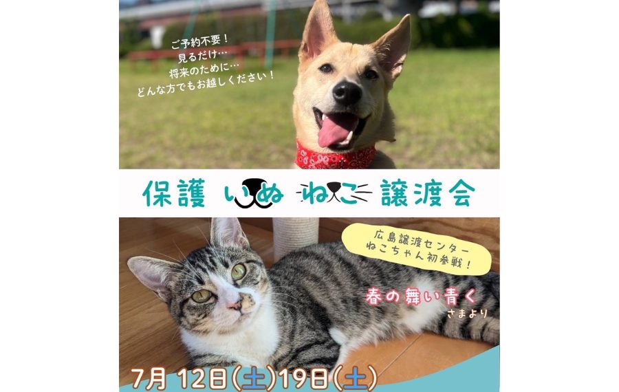 5c33b13dd280465ff857d72e86084fc1