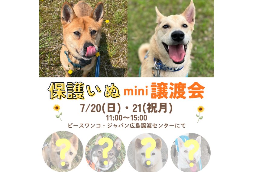 cf07de9ae38e5bc28009dc9840510e32