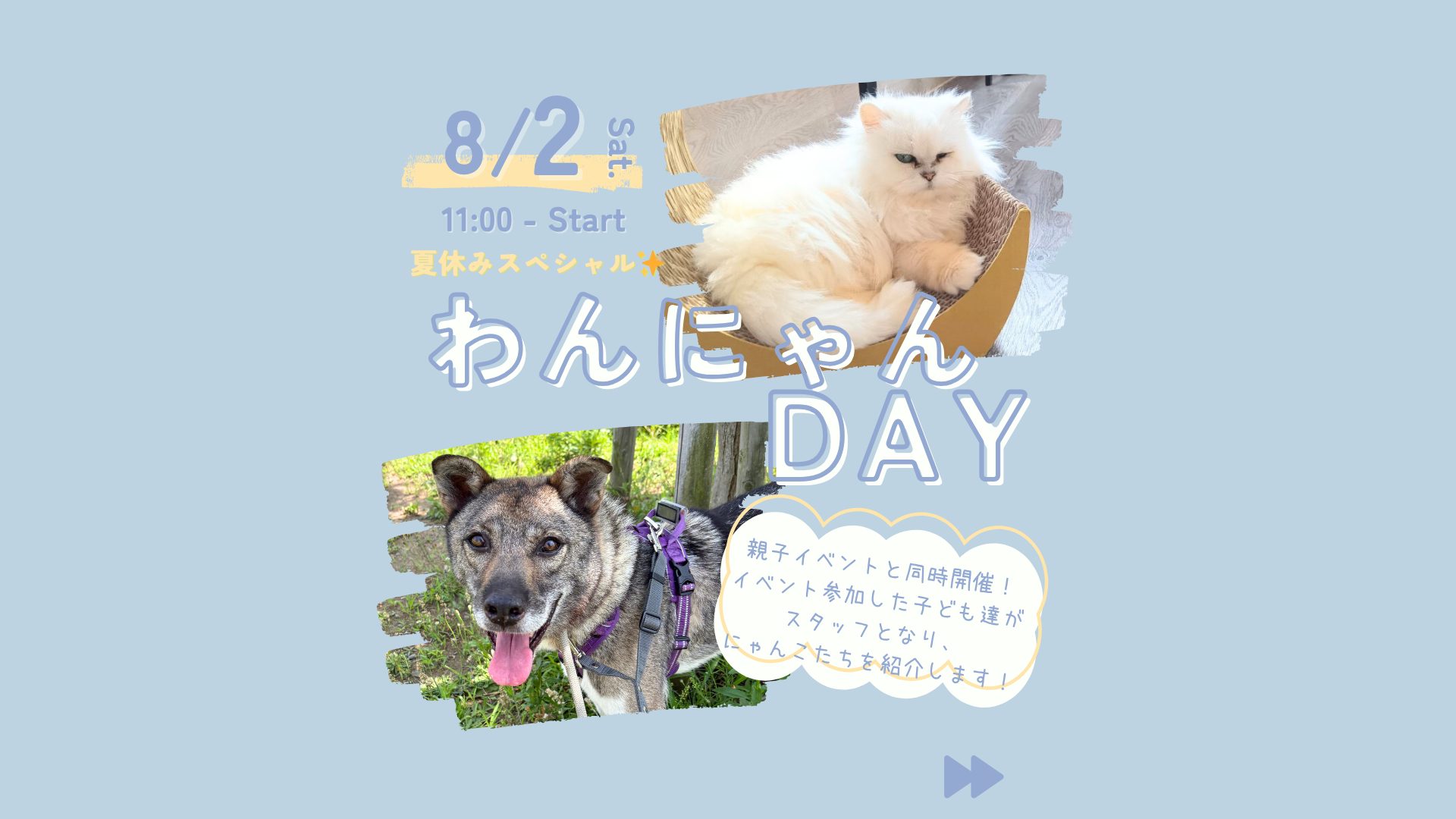 8/2(土)わんにゃんDAY