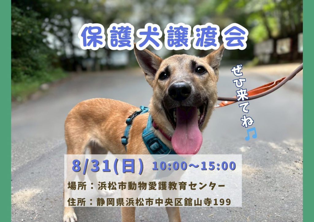 【ピースワンコの譲渡会】8/31(日)「保護犬譲渡会」を開催(静岡/浜松市) 7 bf3da08ed91d525dd540e46481cef268