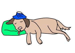 愛犬の息が荒く、呼吸が速くなるのはなぜ?原因と異常を見分けるポイントを解説【獣医師監修】 7 8e381f729f5a072b01965062fec479e9