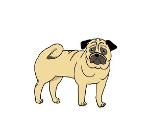 愛犬の息が荒く、呼吸が速くなるのはなぜ?原因と異常を見分けるポイントを解説【獣医師監修】 9 904b4d0eaf66d7b1efb4670a77a954ba