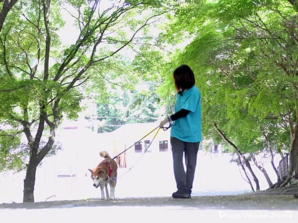 どんな過去があっても、人を信じ続ける「おこげ」 5 20250718 1 5