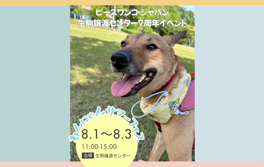 a80e98e2328c65d26d34d87664b0904a