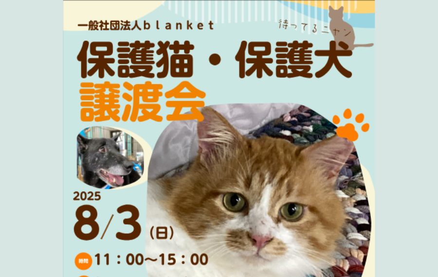 eyecatch 4 2