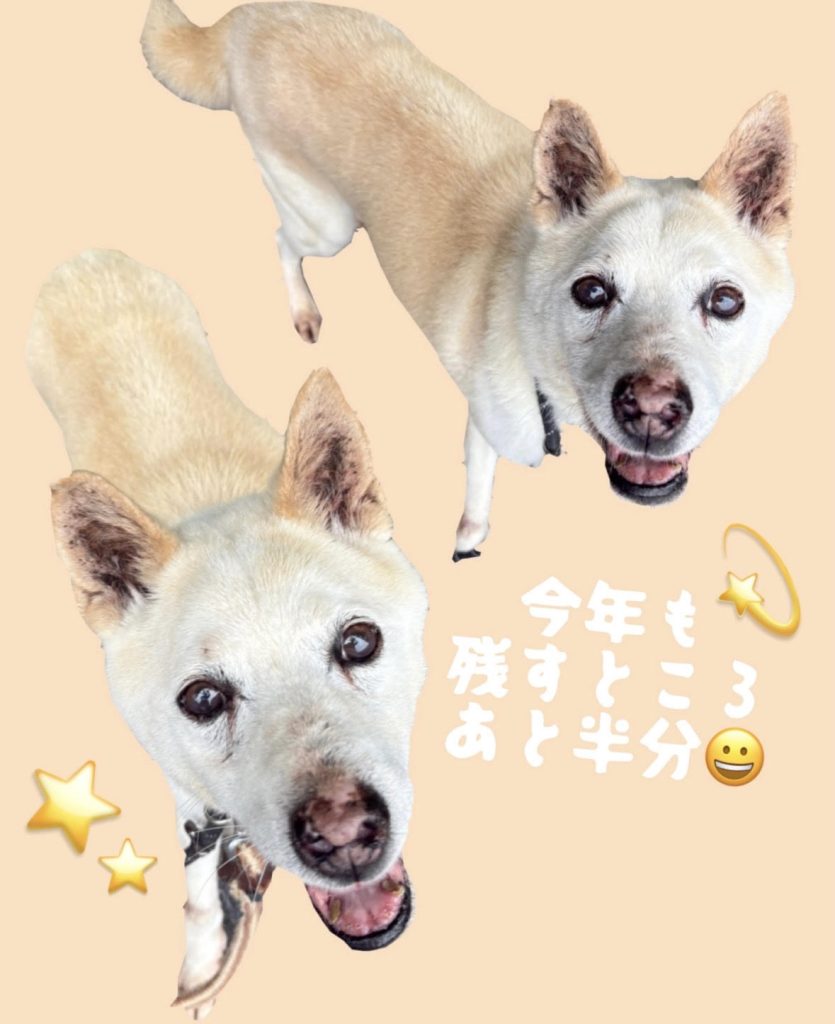 4f0a623bdd41b7fa906e06d3dec9ce58