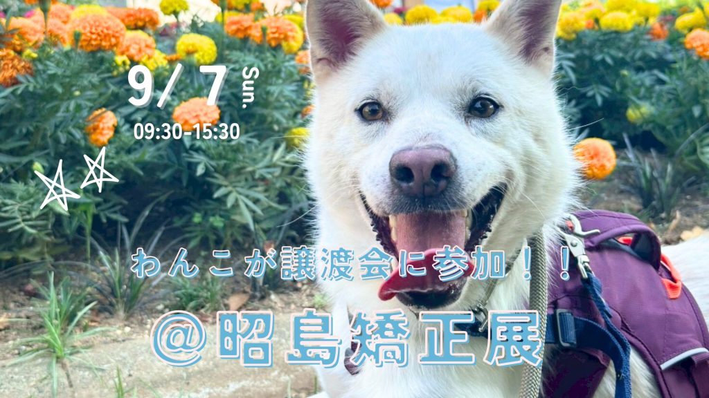 7b02c3a4d994960aaaf9f33dfc48d1e2 1