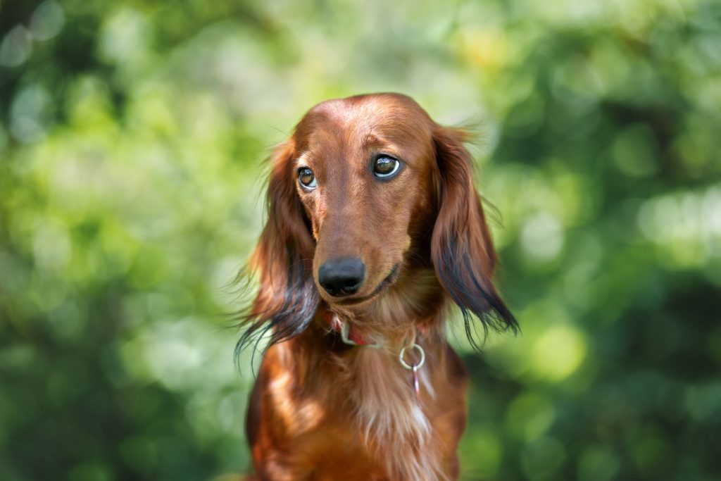 1 AdobeStock 211494972