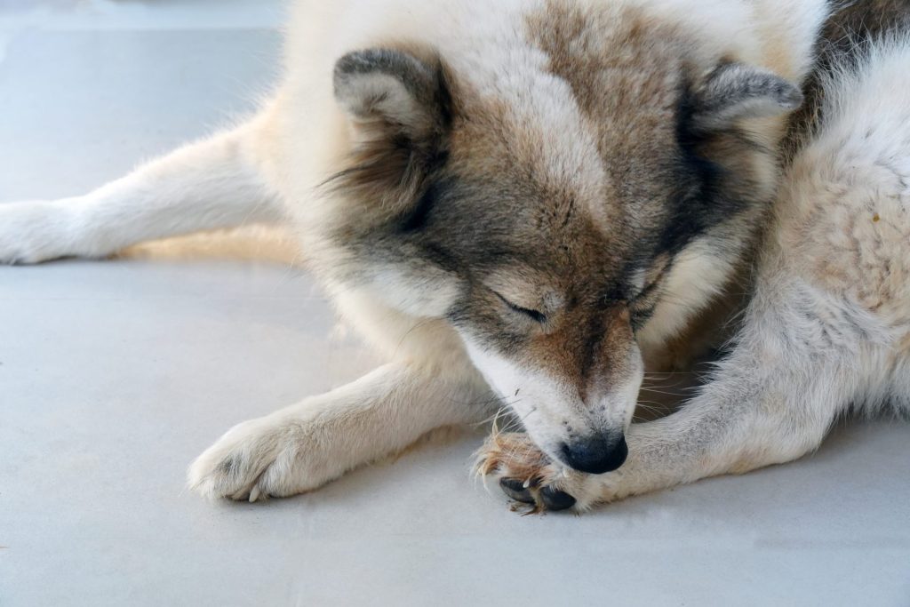 AdobeStock 645169936