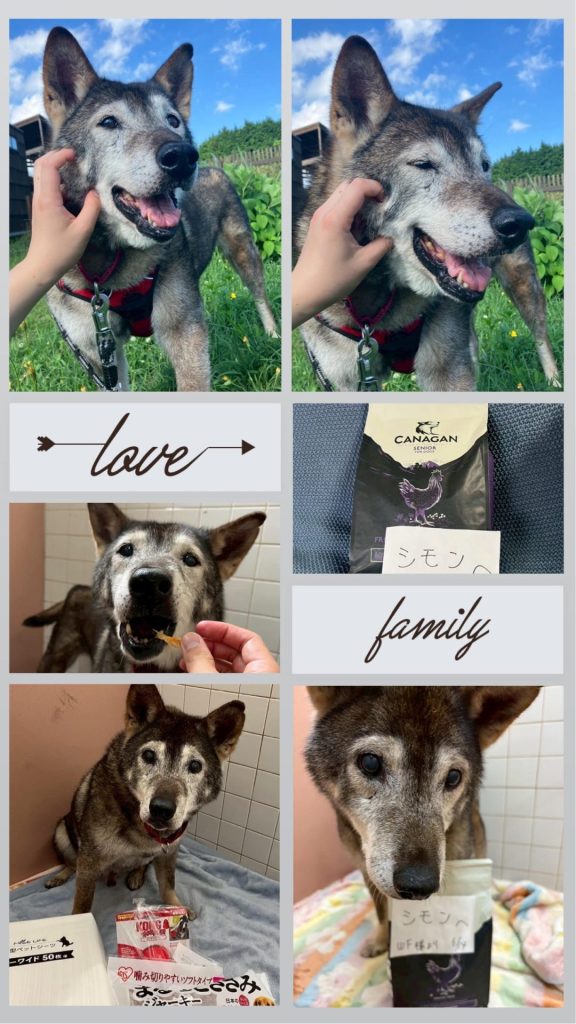 ワンだふるファミリーからの近況報告:2025年8月3日(日曜日) 8 aa5c67357d6ebfeaf568f153f71a94a6