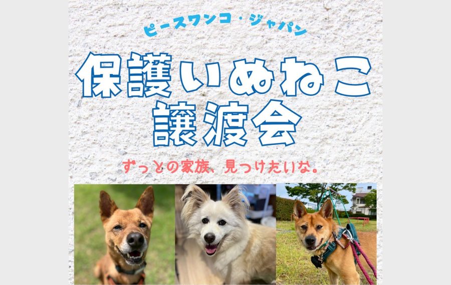 f4205a7fc8c643dc3b86b8c5b1e653d7
