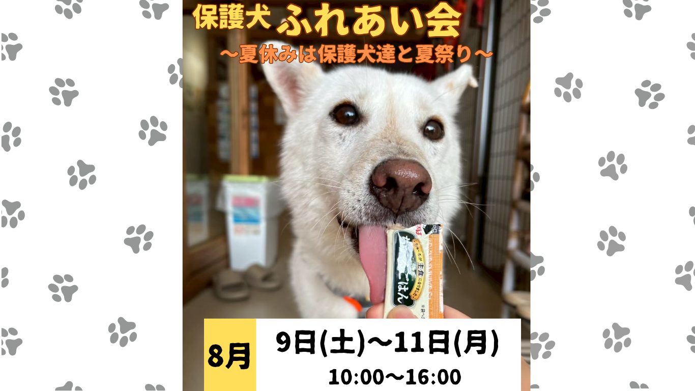 ピースワンコのイベント】8/9（土)〜11（月）保護犬ふれあい会-夏休み