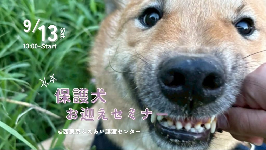 78b5cd1dd7f2ecff3fb5b68a1f493072