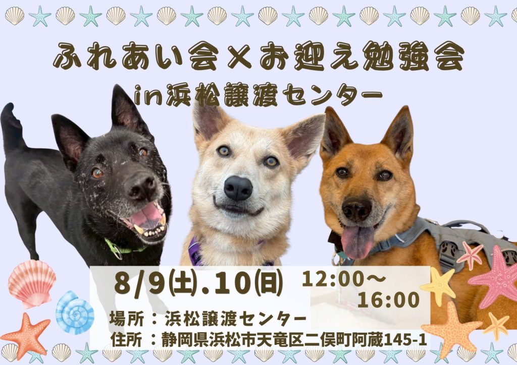 90c83035aa30fe80654821503bf67060