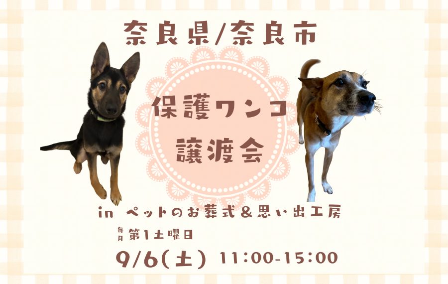 079920bf630a10ff7a0b499cc1770306