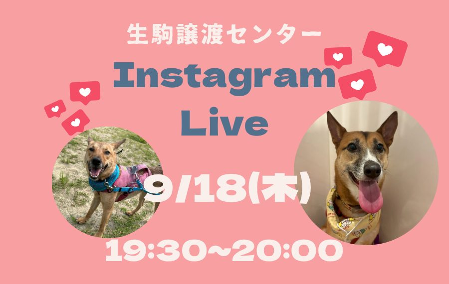 fe2e4da5ee8454ae2d90e3fe95f663d6