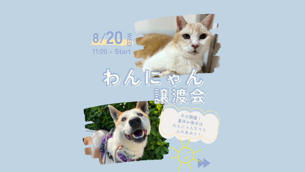 1252392554988e6f72e29c5cf4a18eb7