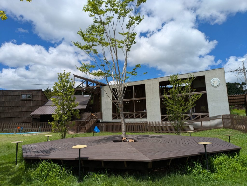 PXL 20250727 031223349