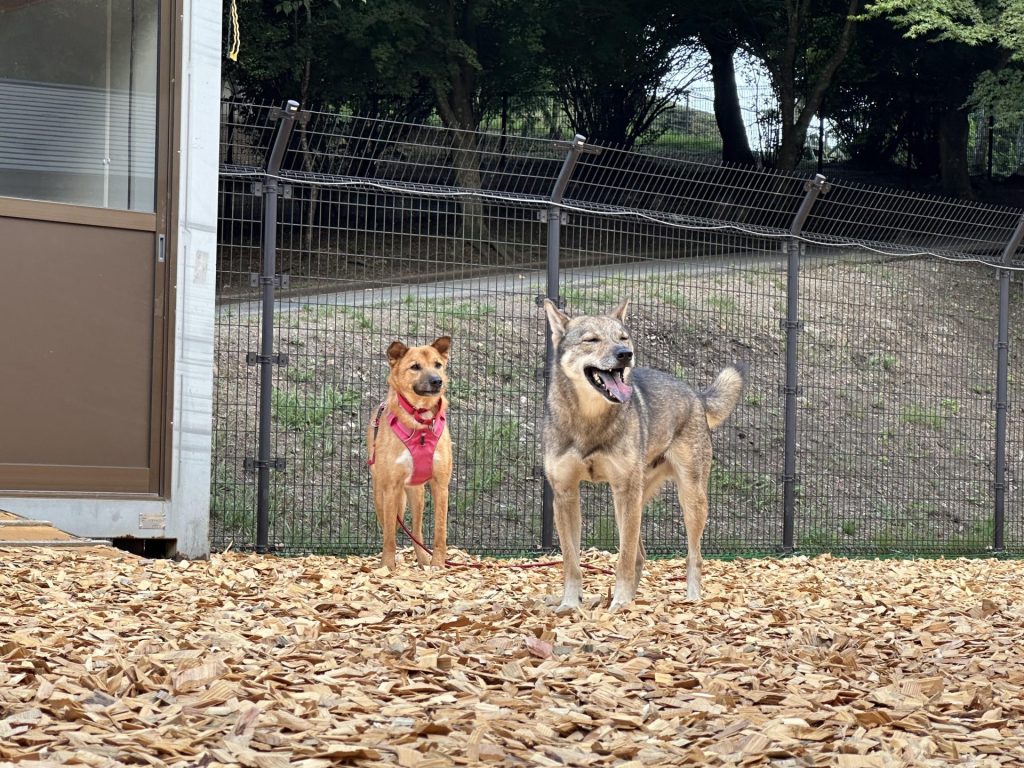 7ae0c9e044c580e5b8b086b7f7d7329d