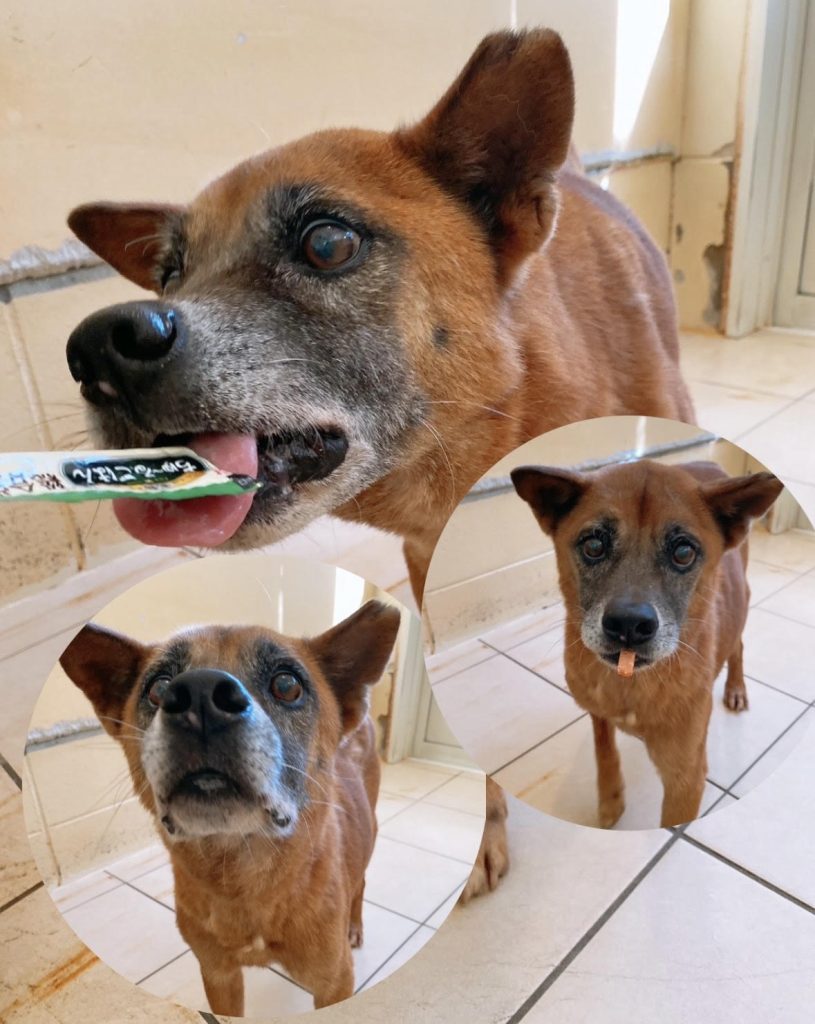 2aeab6a8e299a2b2f9ab402e214119af