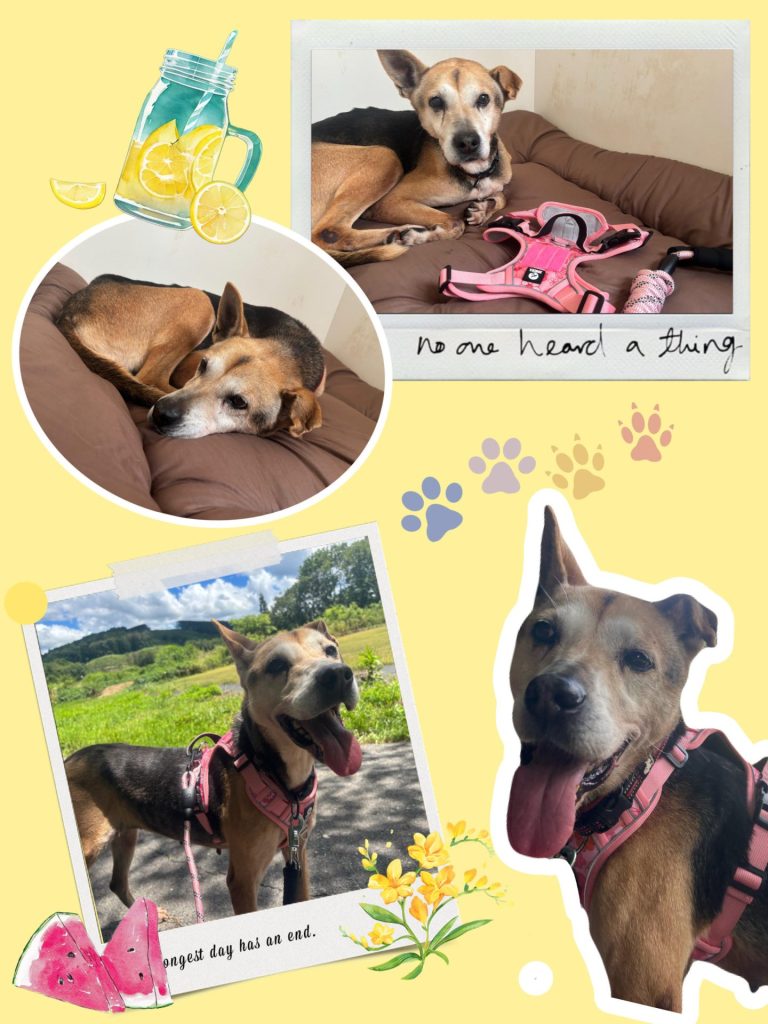 2193add406697a5d892e5faf627951ec