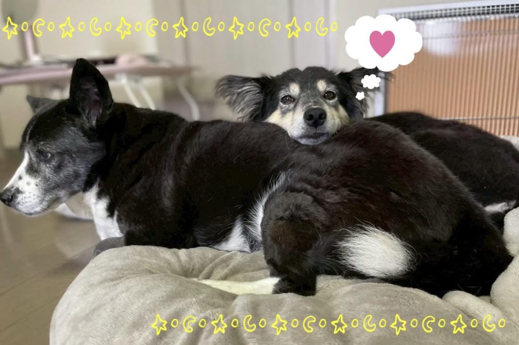 058b18a942960dd7e02c80313b7057f1