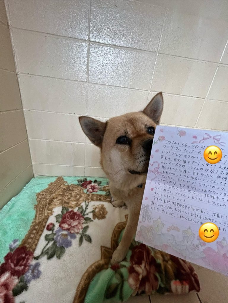 08953ae28ce8de060c1e9d906ce28184