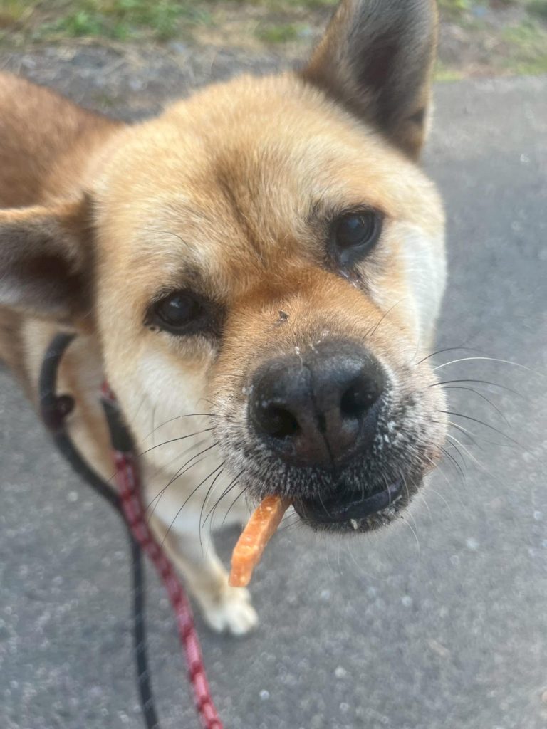 25d997a84d028af4026ff1994b1c80e5