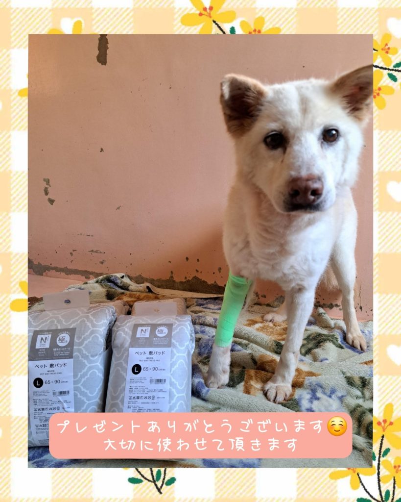 1d637be3a5a5908f9a549a08a8152ddd