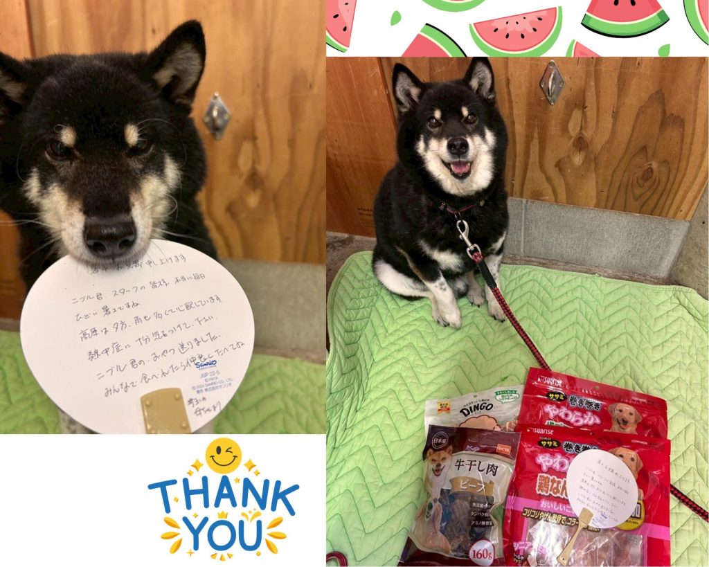 0f86dfcc8dfbac582397a3ebfeb07366