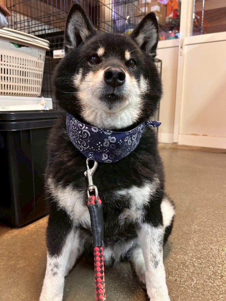 424b55a78deb45090dd9e813840f1687