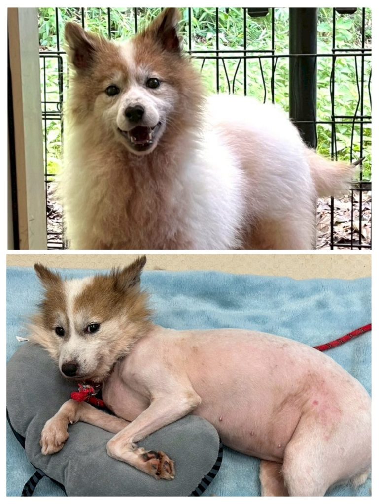 58061dedb339a7354cbbf5895f2cf6db