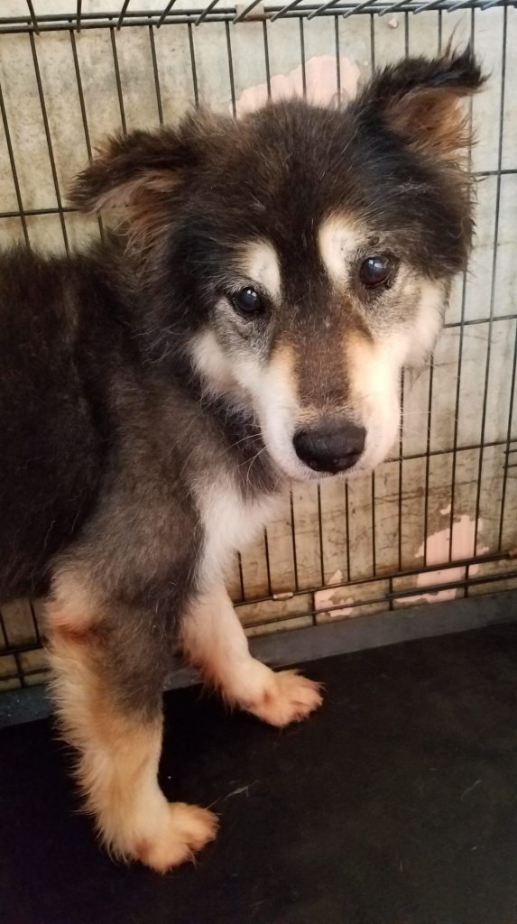 204632d32d2ed61f0439349d47bcb0ec