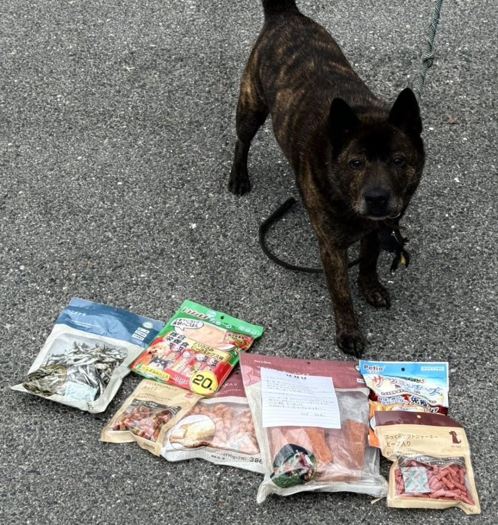 444f6095ccc7cc735b22e8c08fe56232