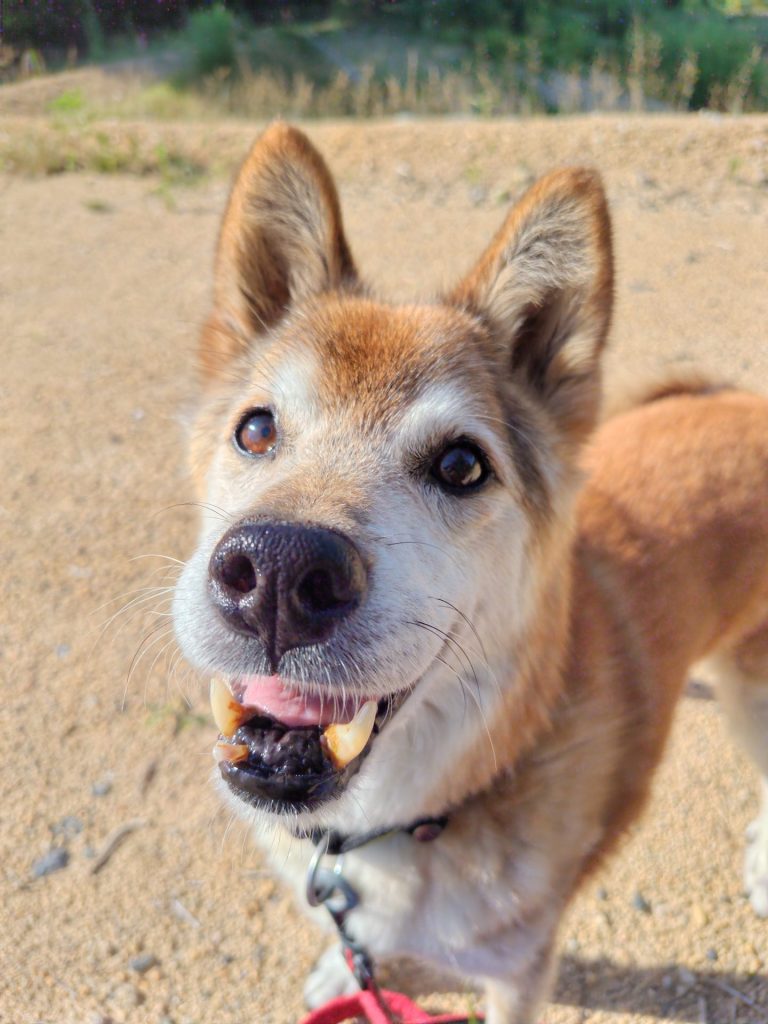 754f1bb8ec34be48eb46410963ba5fd6