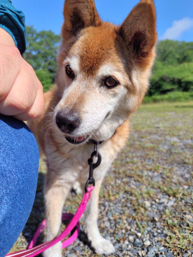 ba6d16f6c0cf259e0f6640ad62cb23d7