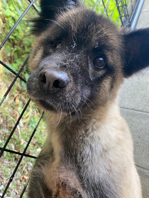 91f55d42d900fa8d12f0974ed3050af1