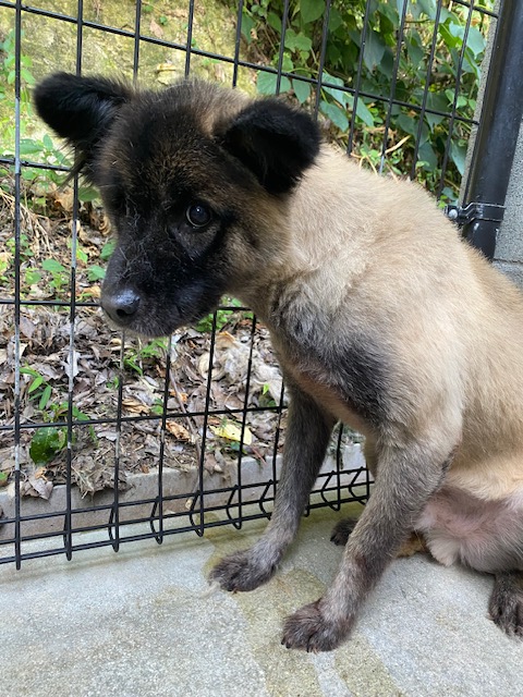 c5870173d0d1e51b70b7db49b05c21da