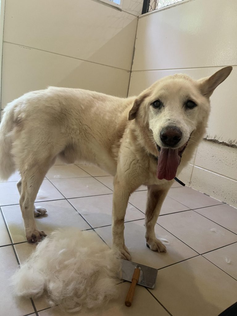 056291b23d8af40c6b00be34c322dfa2