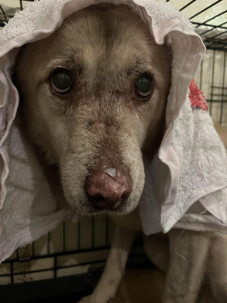 540bca3b8a7377bf8aabd4c1e751a31c