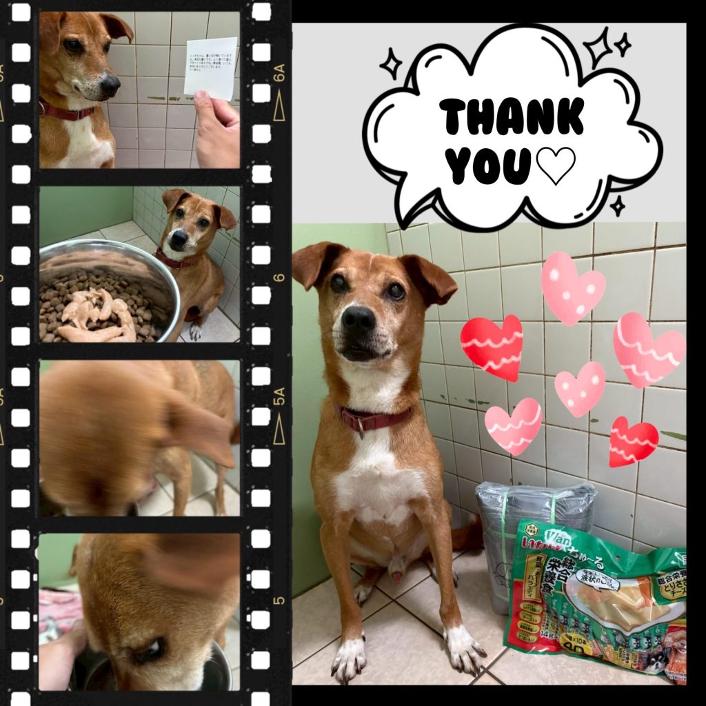 ab717db8443e90d5b8496087f2b89c4b