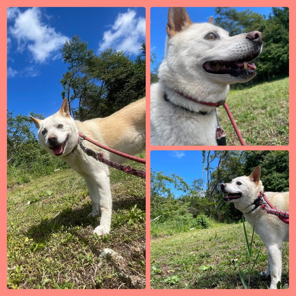 11e0d49cb66611434b40912fe283be90